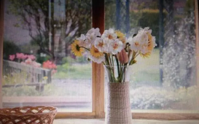 The Beeches B&B
