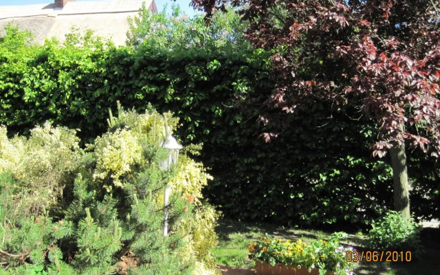 Pension Haus Anneliese