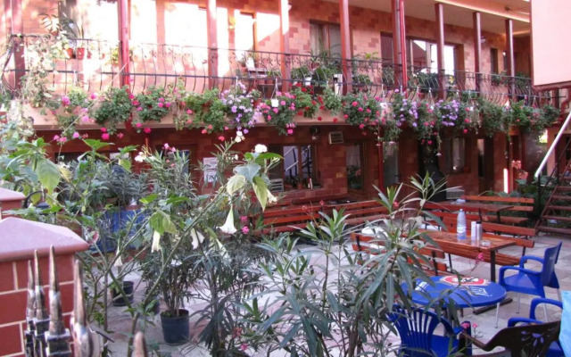 Pensiunea Pluto Sulina