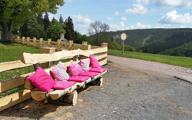 Holiday Home in the Thuringian Forest With Terrace, Garden and a Beautiful View