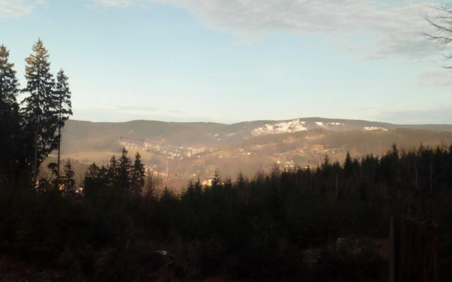 Ferienwohnung Döhlerwald