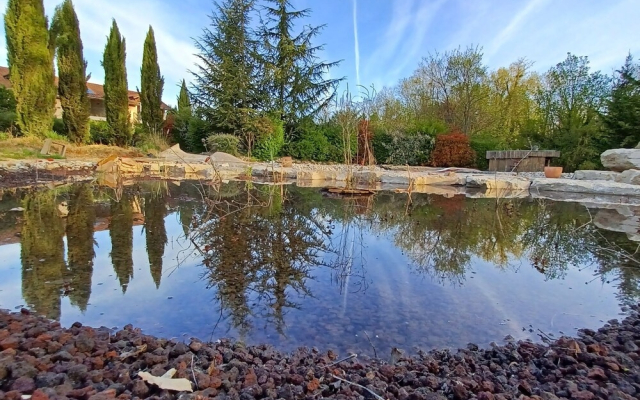 Puravida Lodge and Apparts