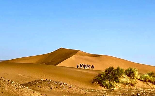 Bivouac Les Dunes De Tinfou