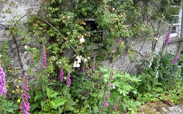Ballydugan Country House