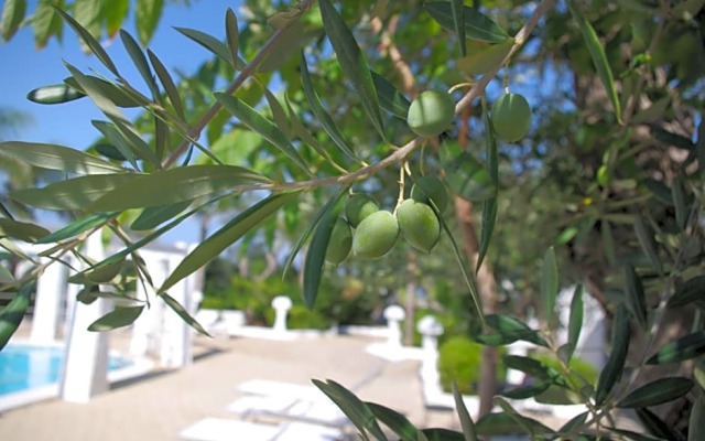 Hotel Nicolaj