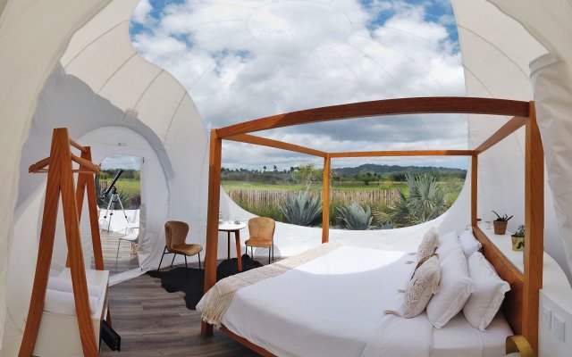 Green Land Bubble Glamping By Mint