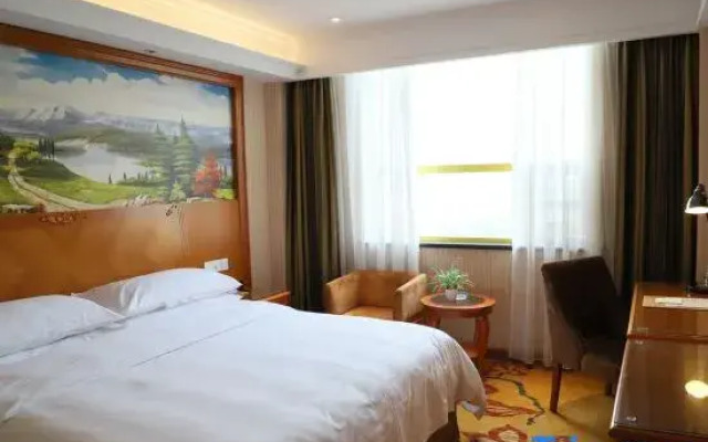 Vienna Classic Hotel (Anlu Jiefang Avenue)