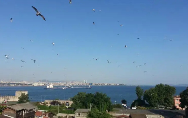 Ugel Aparts