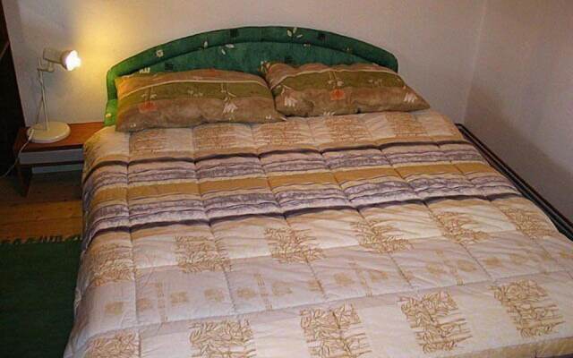 Apartmaji Vidic- Guest House