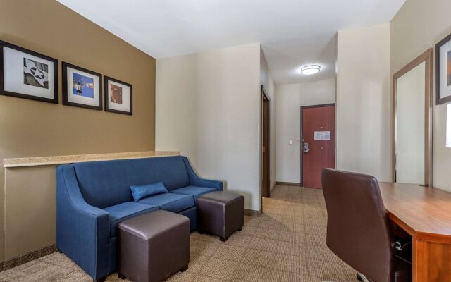 Comfort Suites Buda Austin South