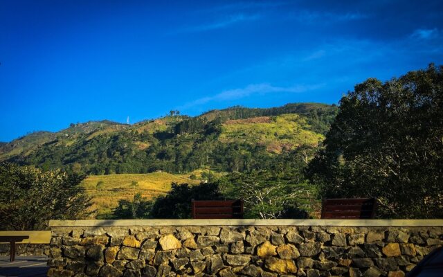 Romance Valley