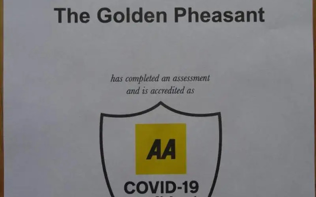The Golden Pheasant