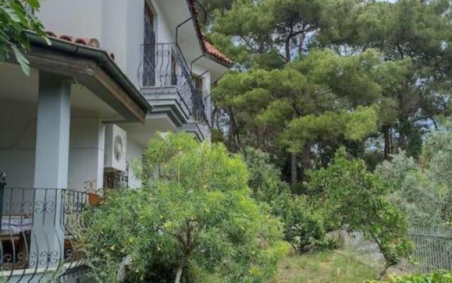 Denize 10 dk, ağaçlar içerisinde muhteşem villa