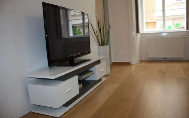 Luxury Downtown Apartment Vienna - Baeckerstrasse
