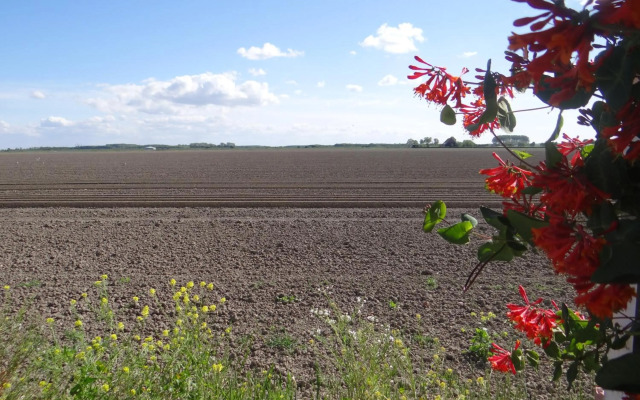 Vakantiewoning Akkerrand Kamperland