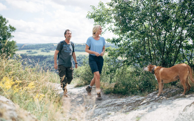 FETZ - Das Loreley Hotel
