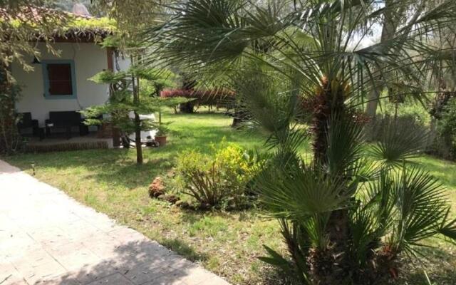 Bill's Garden Villa
