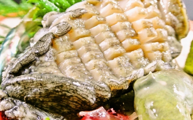 Kyukamura Ohkunoshima