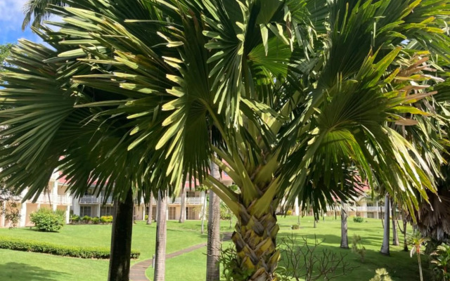 Pierre & Vacances - Appartement front de mer