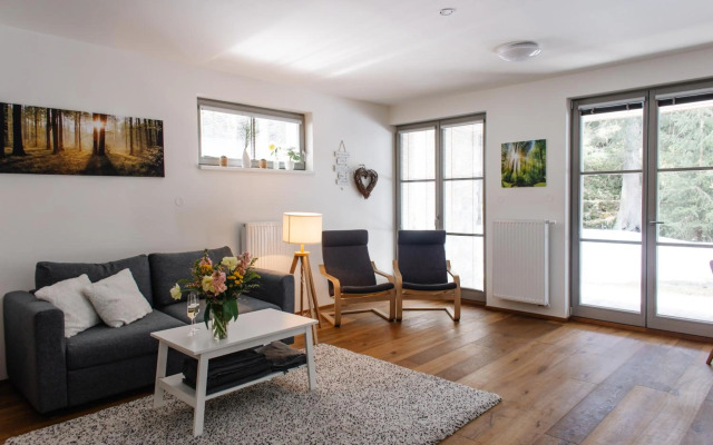 Apartmán s nádherným výhledem v centru Harrachova