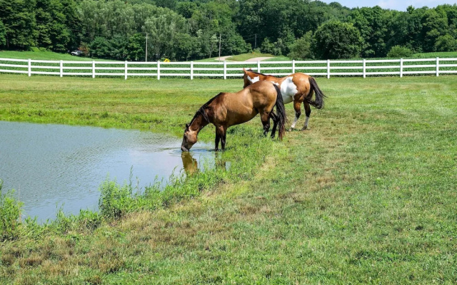 Renovated Bunkhouse on 12-acre Horse Farm!