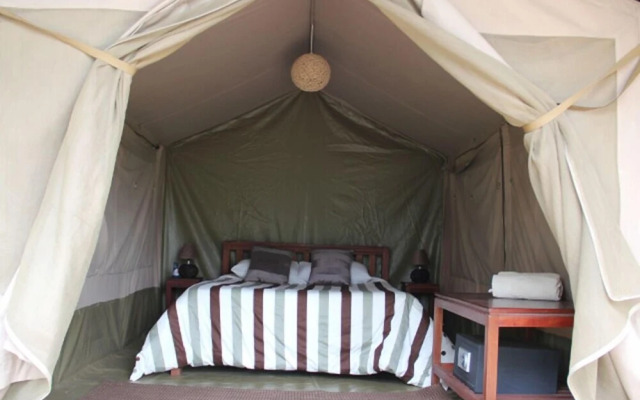 Wildebeest Eco Camp