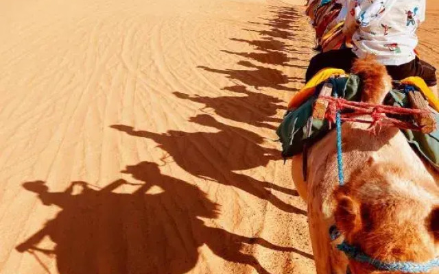 Desert Diary Luxury