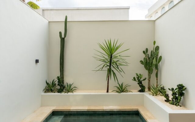 Liminal Palace Villa 2 by Betterplace