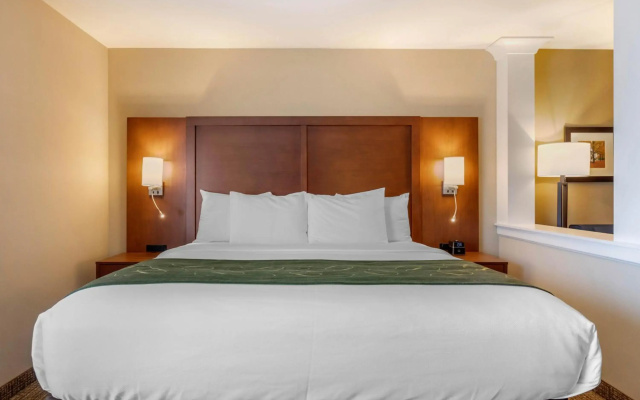 Comfort Inn & Suites Schenectady - Scotia
