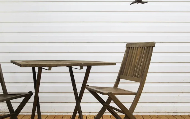 Bindi - Pet Friendly