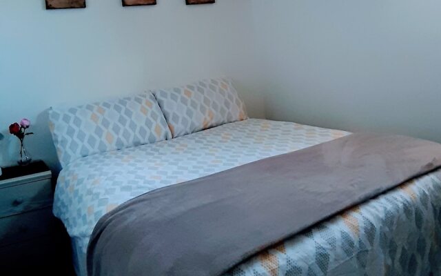 Comfort Cork Center