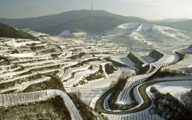 Savoir Vivre Modern Retreat