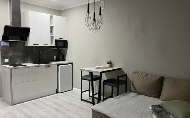 Apartment on 100 Batalnaya street