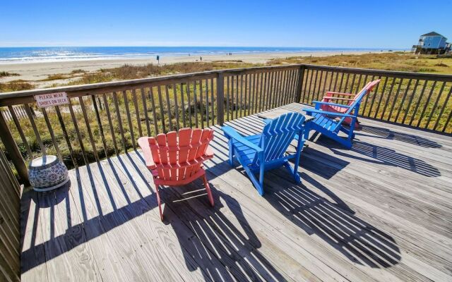 4513bpelicansinh - Barefoot Pelican