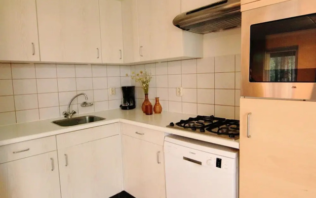 Modern Bungalow With Covered Terrace, in Appelscha