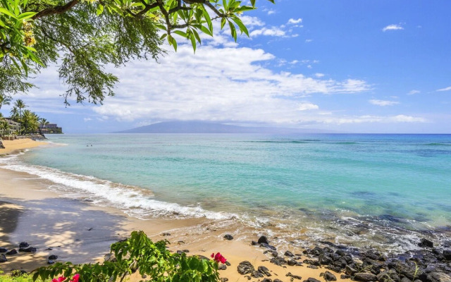 Kuleana 313 - 1Br Condo