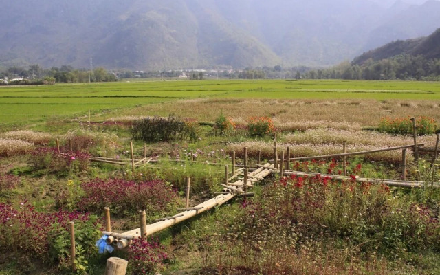 Ume Mai Chau Eco Homestay