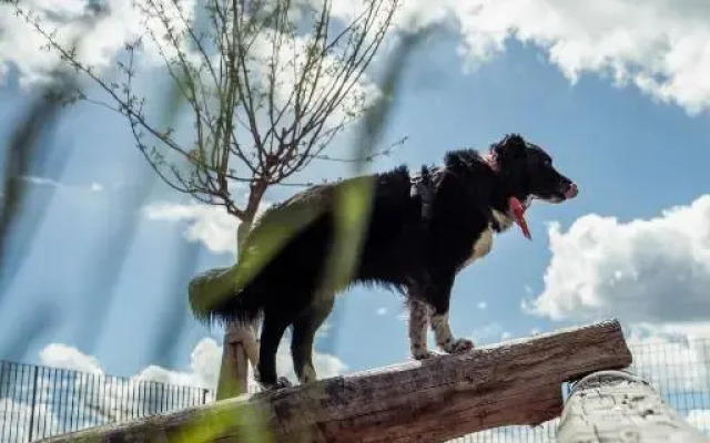 Hotel Schwarzer Adler