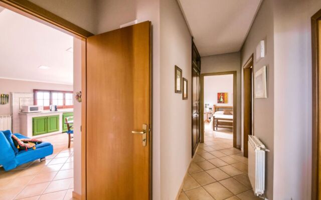 Bouganville di Patrizia