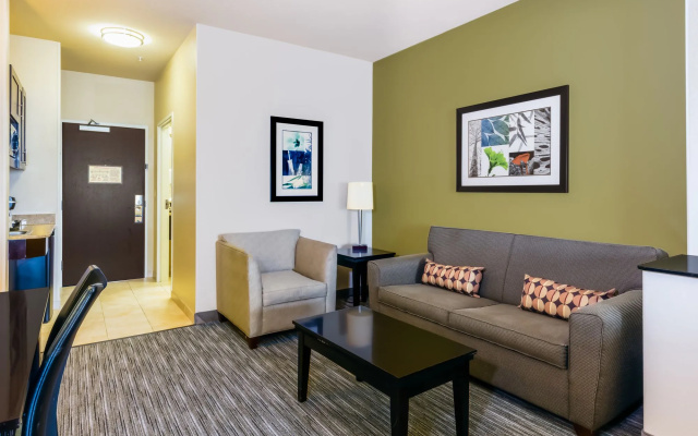 Holiday Inn Express Hotel & Suites DALLAS WEST by IHG