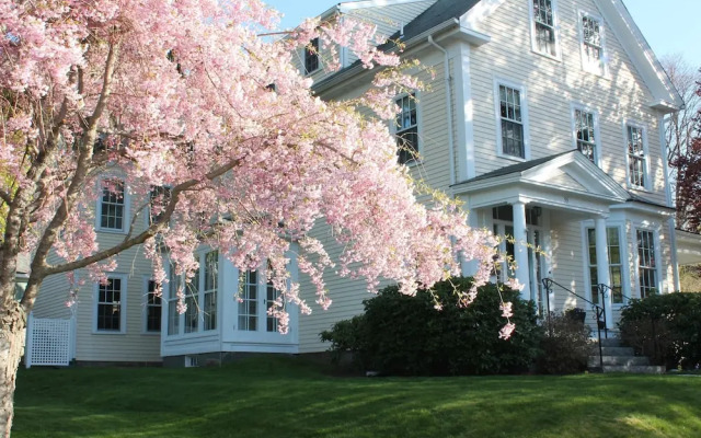 Beech Tree Bed and Breakfast