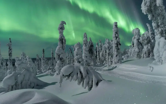 Arctic Panorama Resort
