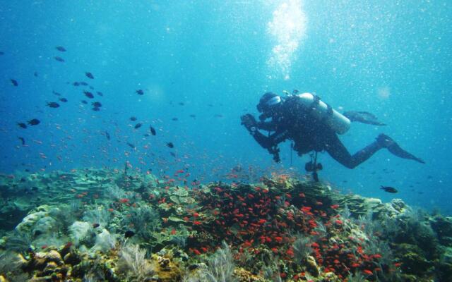 Amed Lodge by Sudamala Resorts