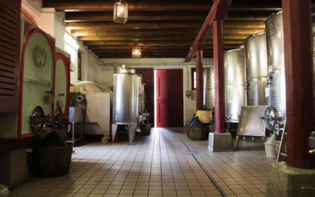 Casali del Picchio - Winery
