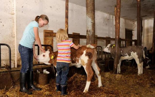 Apartment Birke- Fiechterhof