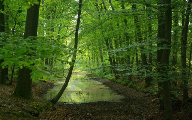 Tiny House Lijster Nunspeet Veluwe
