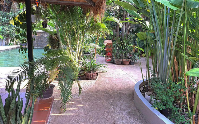 The Golden Gecko Villa