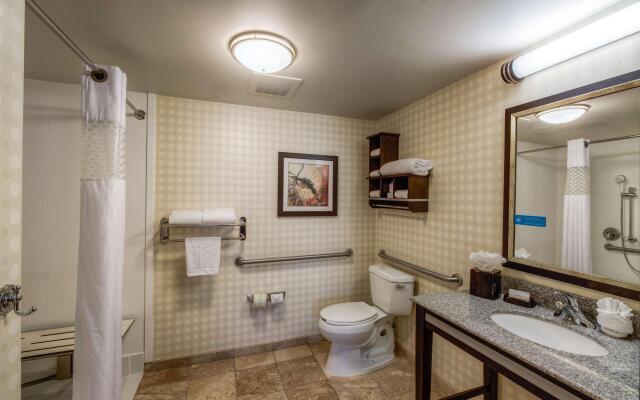 Hampton Inn & Suites Detroit / Airport - Romulus
