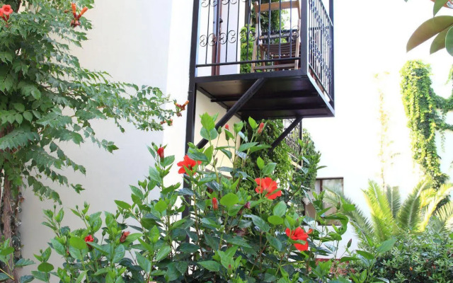 Paloma Hotel