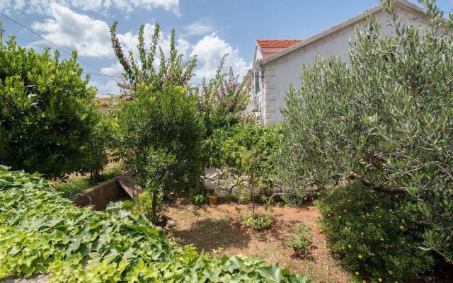 Apartments Tihana